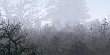 3D güzel manzaranın gösterimi