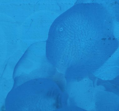 soyut mavi arkaplan, uzay duvar kağıdını kopyala