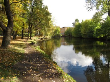 renkli, çeşitli renkli sonbahar.
