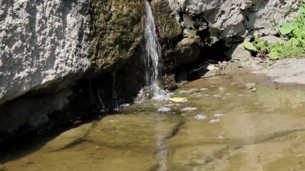 Petite chute d'eau gros plan — Video