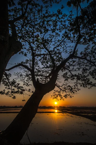 Sombra de luz — Foto de Stock