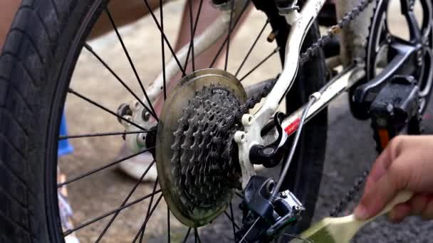 清洗和维护自行车的齿轮 加入润滑油 — 图库视频影像