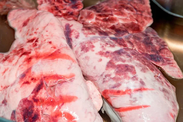 Zbliżenie Pary Świeżych Płuc Świni Wnętrzności Świni — Zdjęcie stockowe