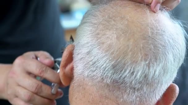 Barber Cutting Hair Old Man Gray Hair — Stock Video