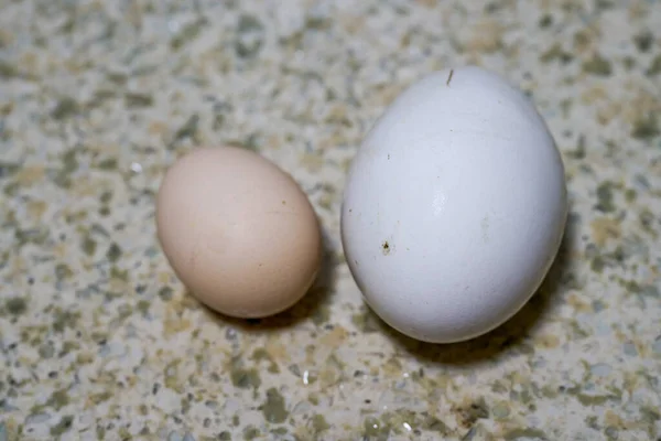 Vejce Kachní Vejce Detailní Záběr Srovnání Velikosti Husích Vajec — Stock fotografie