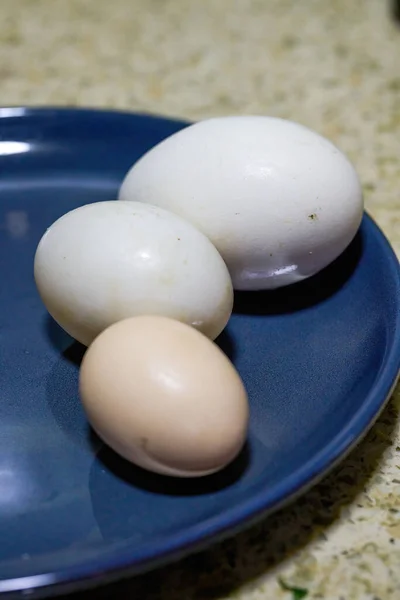 Vejce Kachní Vejce Detailní Záběr Srovnání Velikosti Husích Vajec — Stock fotografie