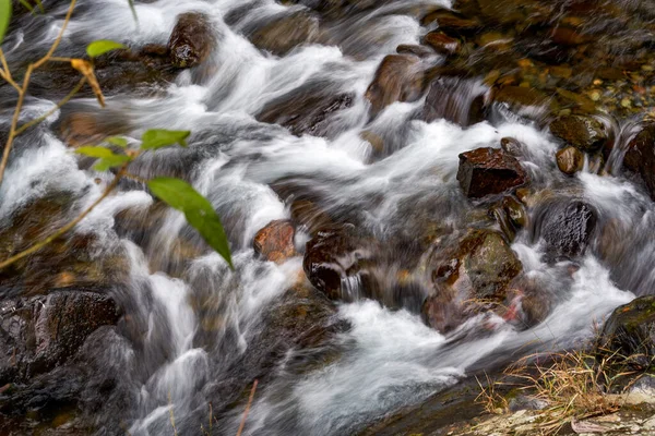 Primer Plano Del Lento Flujo Agua Arroyo Montaña — Foto de Stock