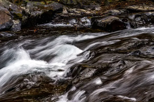 Primer Plano Del Lento Flujo Agua Arroyo Montaña — Foto de Stock