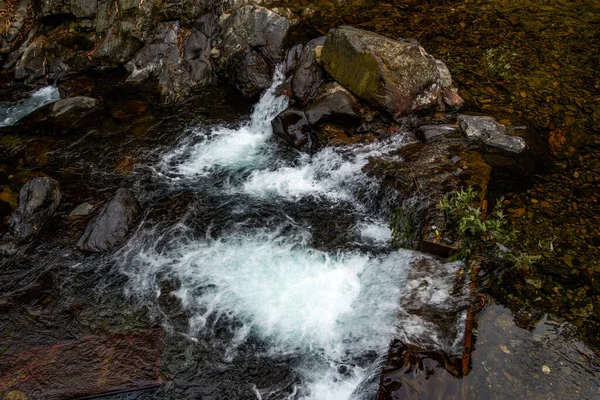 Close Fluxo Água Lento Córrego Montanha — Fotografia de Stock