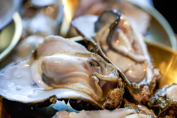 Frische Meeresfrüchte Hot Pot Gerichte Frische Und Pralle Austern — Stockfoto