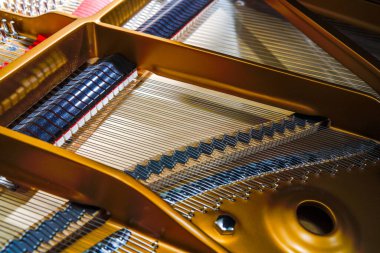 Üstteki bir kuyruklu piyanonun iç sicim yapısına yakın çekim