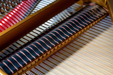 Üstteki bir kuyruklu piyanonun iç sicim yapısına yakın çekim