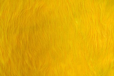 Arkaplan duvarındaki sarı tüyler