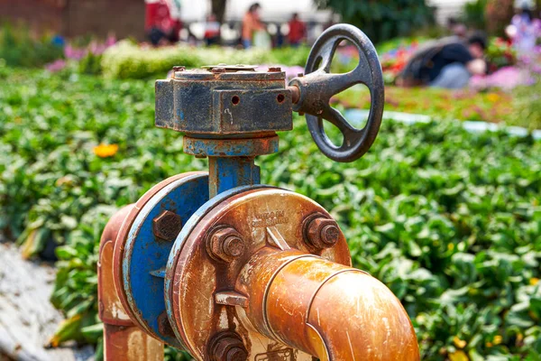 Válvula Interruptor Tubulação Água Para Irrigação Jardim — Fotografia de Stock