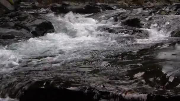 Крупный План Медленного Потока Воды Горном Ручье — стоковое видео