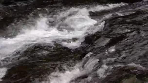 Primer Plano Del Lento Flujo Agua Del Arroyo Montaña — Vídeos de Stock
