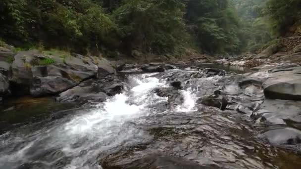 Primo Piano Del Lento Corso Acqua Del Torrente Montagna — Video Stock