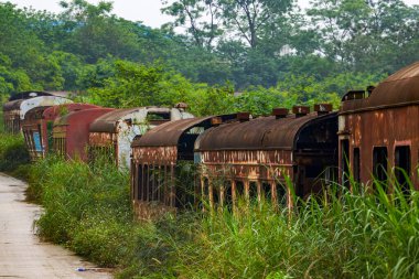 Bir yığın paslı tren vagonu ormanda terk edilmiş.