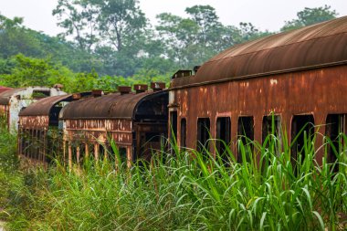Bir yığın paslı tren vagonu ormanda terk edilmiş.