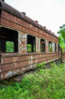 Bir yığın paslı tren vagonu ormanda terk edilmiş.