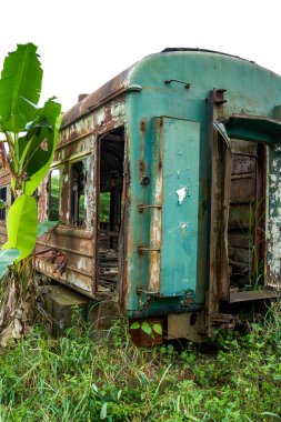 Bir yığın paslı tren vagonu ormanda terk edilmiş.