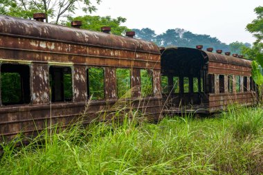 Bir yığın paslı tren vagonu ormanda terk edilmiş.
