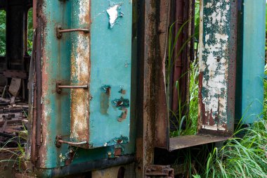 Bir yığın paslı tren vagonu ormanda terk edilmiş.