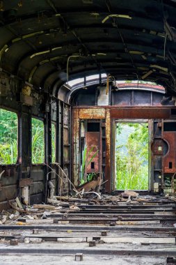 Bir yığın paslı tren vagonu ormanda terk edilmiş.