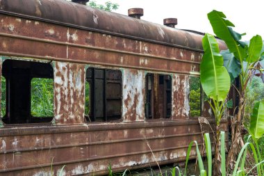 Bir yığın paslı tren vagonu ormanda terk edilmiş.