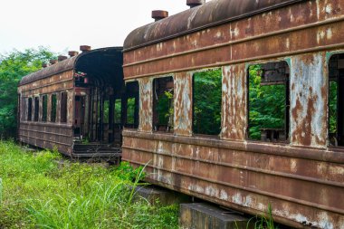 Bir yığın paslı tren vagonu ormanda terk edilmiş.