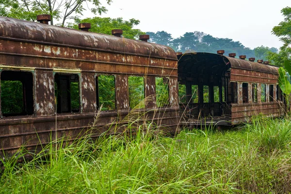 Bir yığın paslı tren vagonu ormanda terk edilmiş.