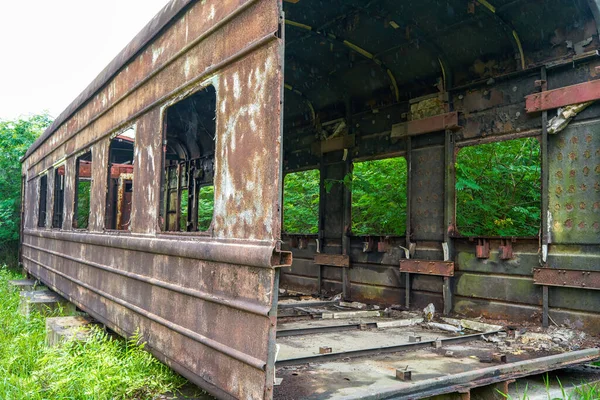 一群废弃在森林里的生锈的火车车厢 — 图库照片