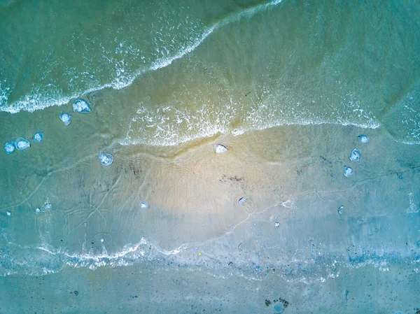 Close Van Kwallen Gestrand Het Strand Meervoudige Kwallen — Stockfoto