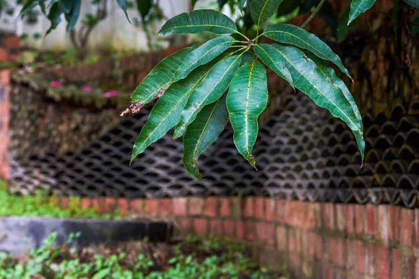 Decoração Parede Feita Azulejos Tijolos Vermelhos Pedras — Fotografia de Stock