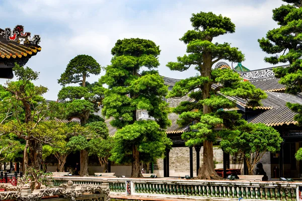 Baomo Garden Lingnan Klassische Gartenlandschaft Guangzhou China — Stockfoto