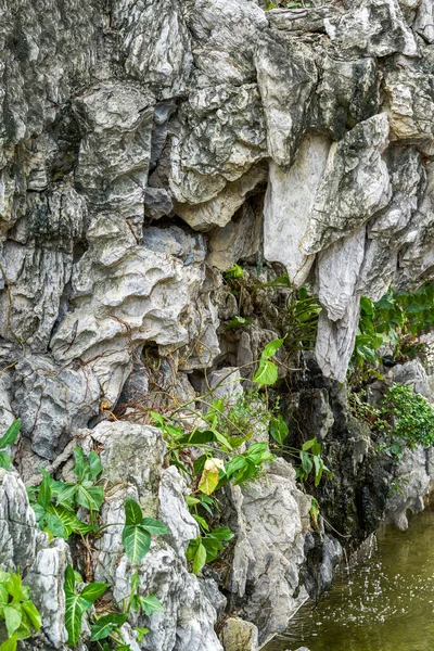 Primer Plano Estalactitas Rocosas Tallas Piedra Baomo Garden Guangzhou China — Foto de Stock