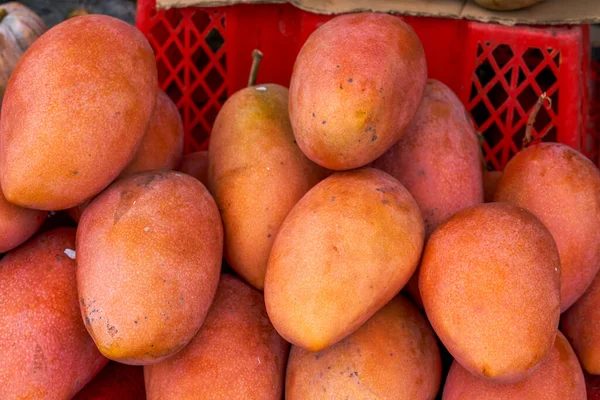 Tropical fruit, ripe red mango close-up