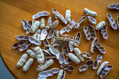 Close-up of a pile of finished peanut shells on the dining table