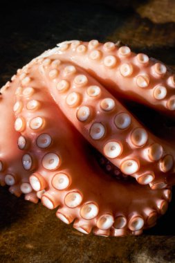 Scalded cooked big octopus, close-up of contracted octopus tentacles