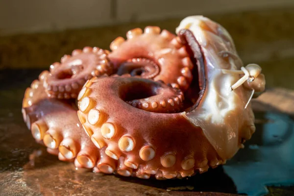 Scalded cooked big octopus, close-up of contracted octopus tentacles