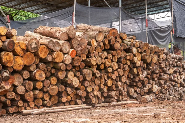 Timber piled in a lumber yard, dry wood material