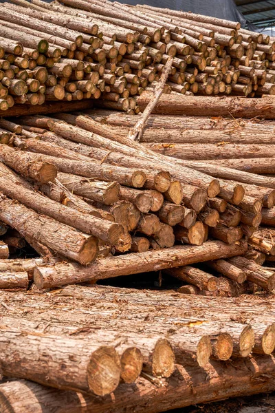 Timber piled in a lumber yard, dry wood material