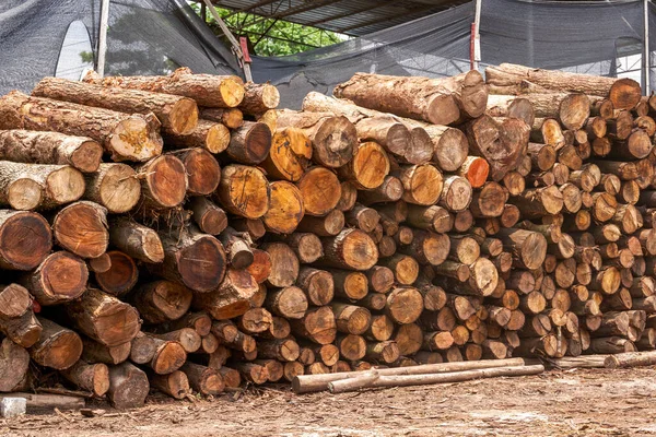 Timber piled in a lumber yard, dry wood material