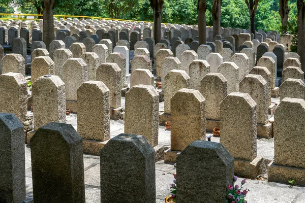 Rows of stone tombstones in a public cemetery