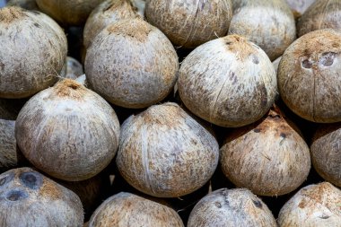 Bir avuç taze hindistan cevizi. Yakın plan.