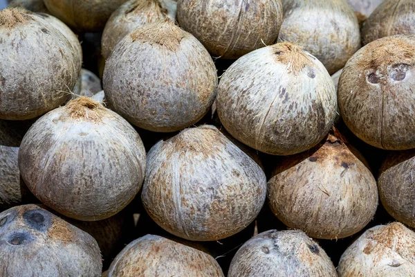 Bir avuç taze hindistan cevizi. Yakın plan.