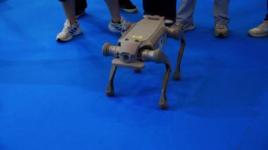 Yüksek teknolojili yapay zekaya sahip robot bir köpek.