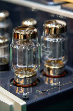 1 adet lüks geleneksel yüksek kaliteli vakum tüpü.