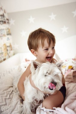 Küçük çocuk Batı İskoçya beyaz teriyeriyle eğleniyor.