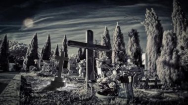 Mezarlıkta gizemli varlıklar, gerçeküstü bir atmosfer..